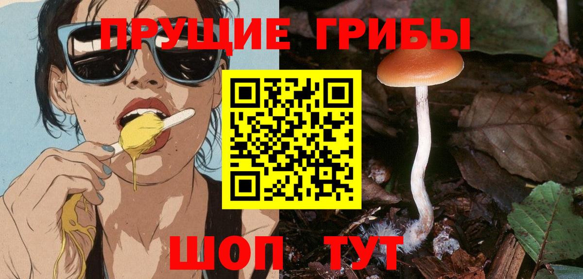 Пугачёв  Псилоцибиновые грибы Magic Shrooms  Вход с VPN 
